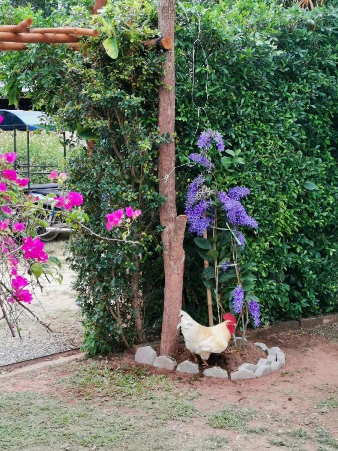 Krabilife Resort Ban Ko Kwang Zewnętrze zdjęcie