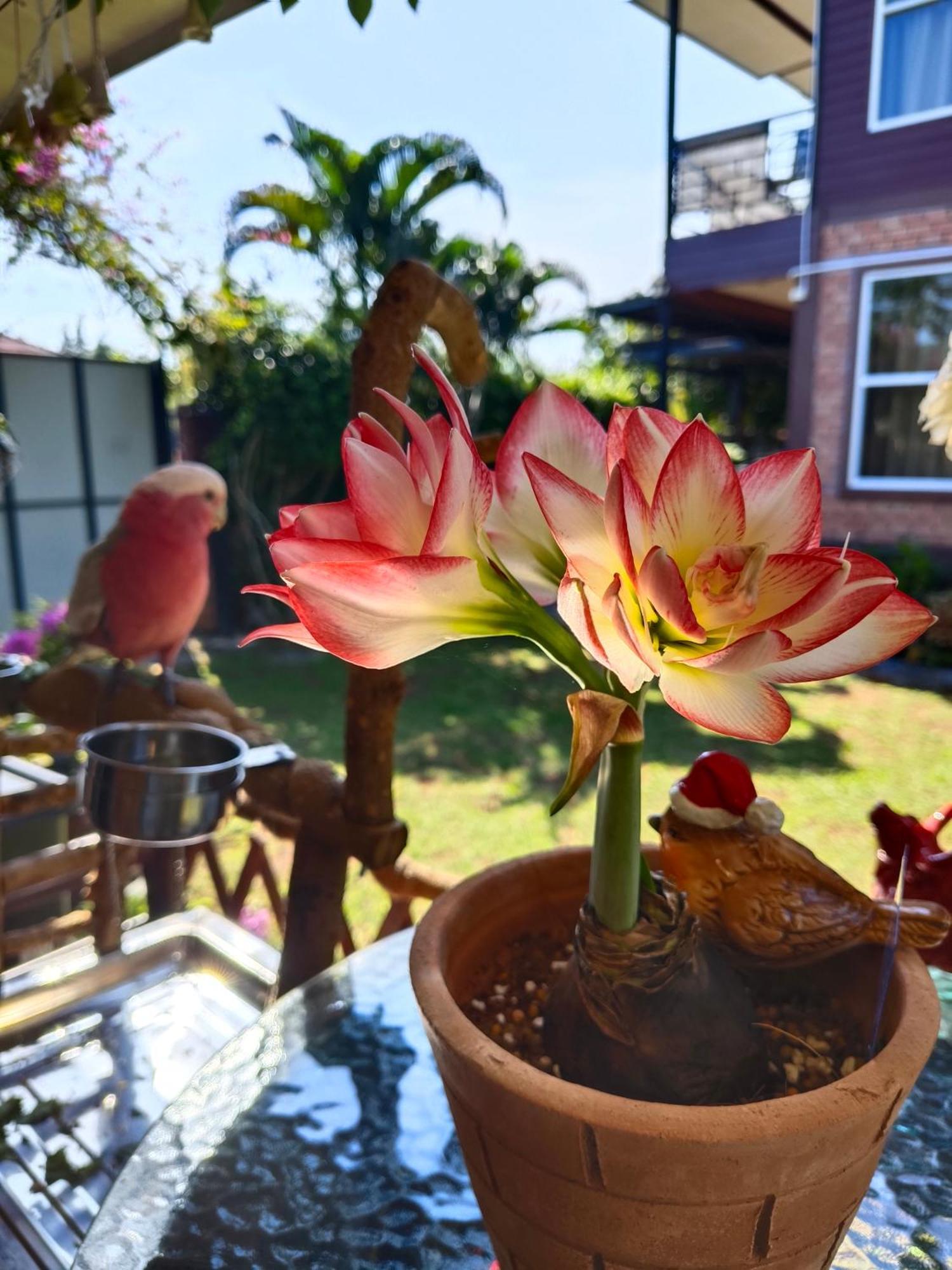 Krabilife Resort Ban Ko Kwang Zewnętrze zdjęcie